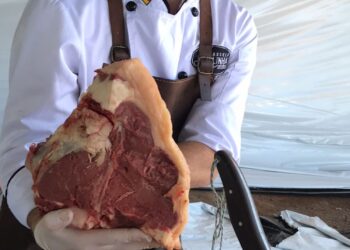Festival da Carne reúne programação técnica e prática de novos cortes