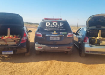 Mulheres são presas pelo DOF levando quase uma tonelada de drogas para Floripa