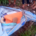 “Justiceiros da Fronteira”: Corpo é encontrado sem cabeça e enrolado em colcha