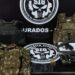 Polícia identifica dupla que matou idoso a mando da filha para roubar R$ 200 mil em Dourados