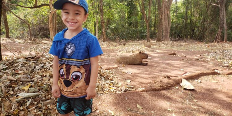 “Que coisa mais linda, mais cheia de graça”: família registra grupo de capivaras no Parque das Nações