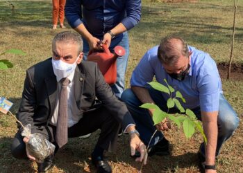 No Dia da Árvore, deputado com presidente da ALEMS planta Ipê Roxo e distribui 150 mudas