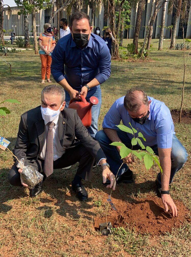 No Dia da Árvore, deputado com presidente da ALEMS planta Ipê Roxo e distribui 150 mudas
