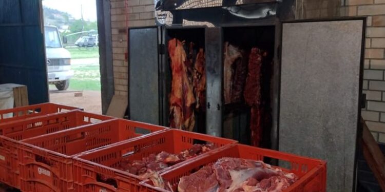 Fake: Imagens no ZAP de cães abatidos para consumo humano em SC é notícia falsa