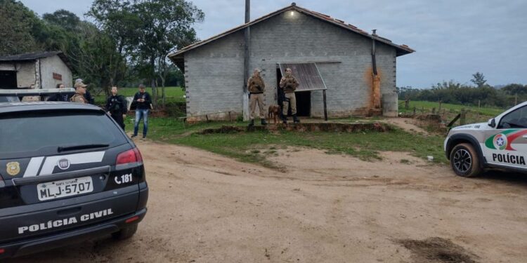 Fake: Imagens no ZAP de cães abatidos para consumo humano em SC é notícia falsa
