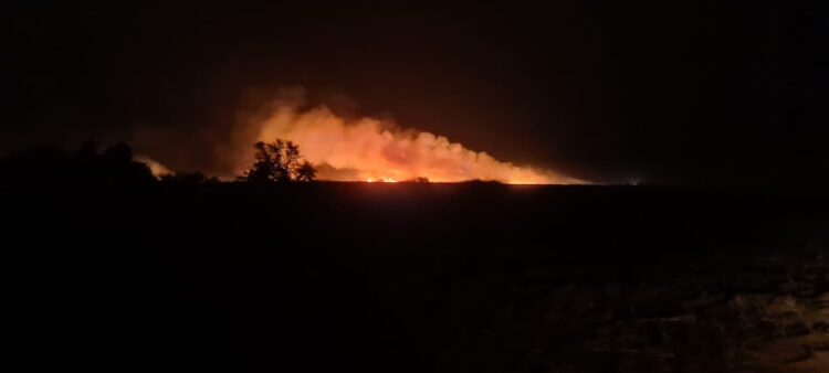 Empresa é multada em R$353 mil por incêndio em área plantada de cana-de-açúcar