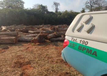 Paulista é multado em MS em R$ 32 mil por derrubar árvores e enterrar de forma ilegal