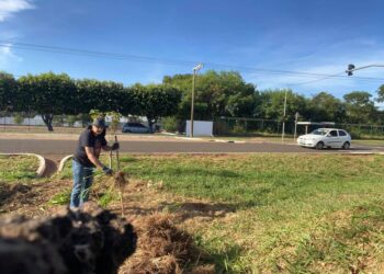 Legado verde: Valnidércio cultiva paixão de plantar e espalhar sementes por MS