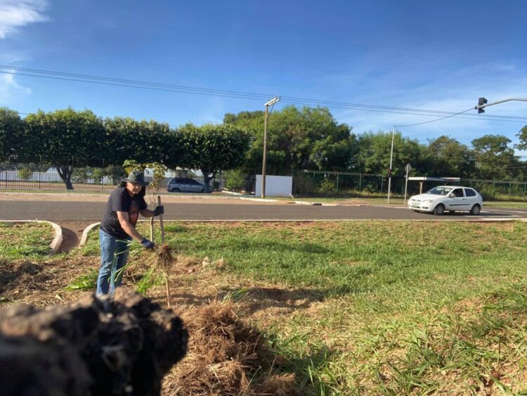 Legado verde: Valnidércio cultiva paixão de plantar e espalhar sementes por MS