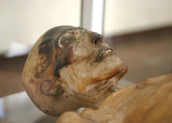 Corpo mumificado é de Sidney Pimenta e foi identificado pelas digitais na Capital