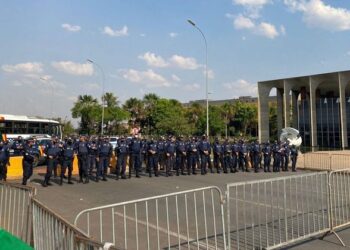 PM faz barreira humana para proteger STF de manifestantes pró-Bolsonaro