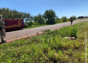 Perícia identifica homem encontrado em estado de decomposição na MS-386