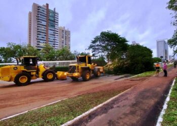Ruas são liberadas, após queda de árvores, e semáforos reativados em mais de 200 pontos na Capital