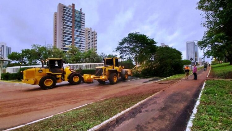 Ruas são liberadas, após queda de árvores, e semáforos reativados em mais de 200 pontos na Capital