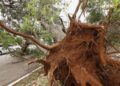 Nova tempestade chega neste sábado com chuvas por todo o Mato Grosso do Sul