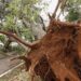 Nova tempestade chega neste sábado com chuvas por todo o Mato Grosso do Sul