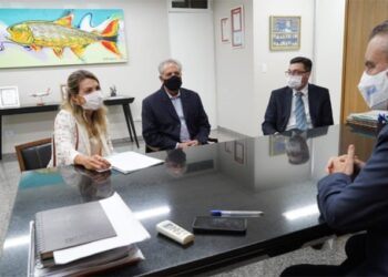 Mato Grosso do Sul vai ter CNH Social para beneficiar 5 mil pessoas por ano