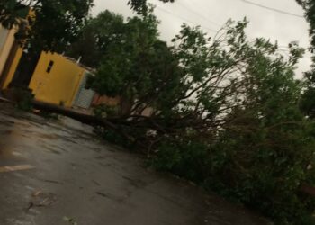 “Ciclone”: População dá nome a temporal que derrubou telhas, muros e árvores na Capital