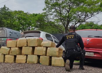 DOF apreende Sandero com mais de 400kg de maconha e prende 4 por tráfico