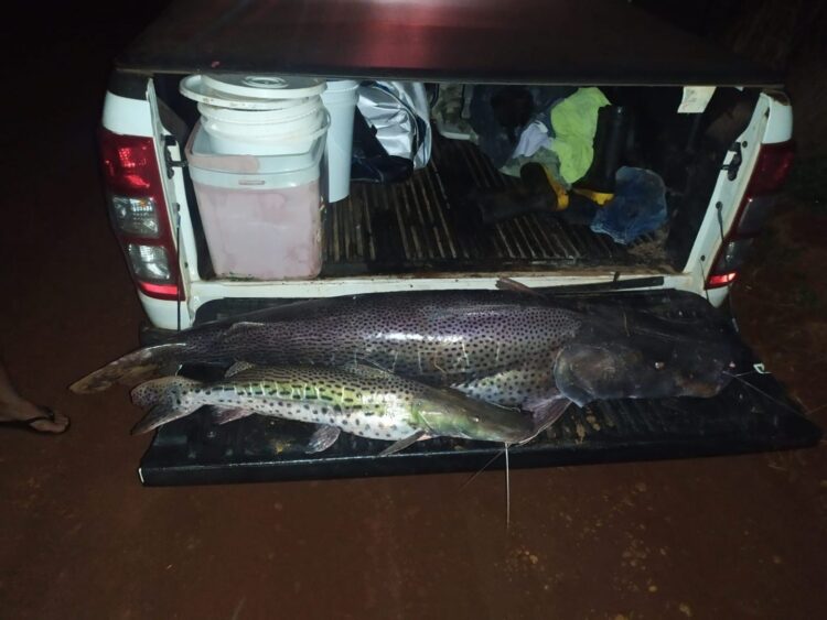 Dupla de pescadores é multada em R$ 2,6 mil com 25 kg de peixes e veículo