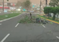 Leitores mandam vídeos dos transtornos da tempestade