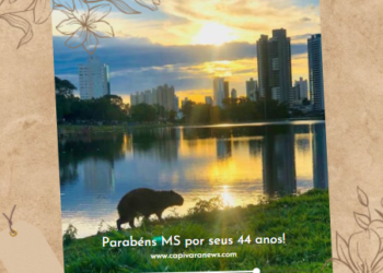 Parabéns MS pelos 44 anos de história, progresso e principalmente desenvolvimento
