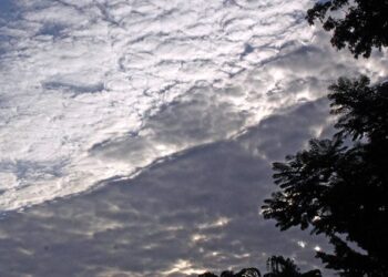 Chance da La Niña no final do ano é de 87%, aponta atualização do NOAA