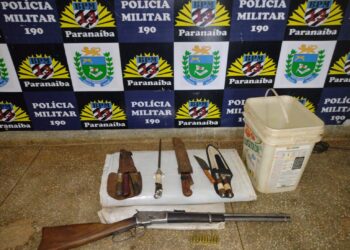 Trio é preso por caçar capivaras com arma e petrechos para escarnar animais em MS