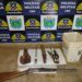 Trio é preso por caçar capivaras com arma e petrechos para escarnar animais em MS