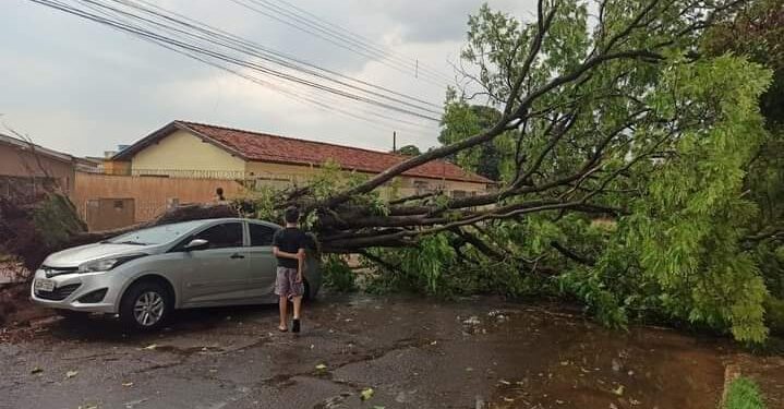 Susto passa, mas registros surpreendentes da tempestade de poeira continuam chegando. Confira: