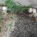 Onda de furto de hidrômetros deixa moradores sem água em bairros da Capital