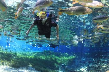 De Bonito à Rota Cerrado-Pantanal, destinos turísticos de MS têm boa expectativa com feriadão de 4 dias