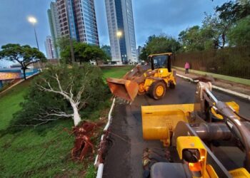 Equipes da Prefeitura trabalham para reparar estragos da tempestade de ontem na Capital