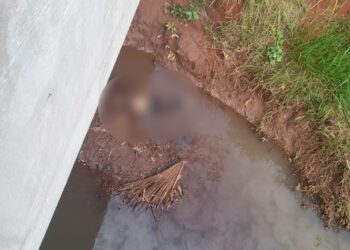 Corpo de mulher é encontrado no Córrego Imbirussu por popular que passava na BR-262