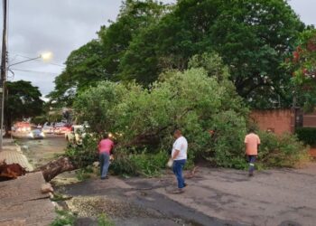 Após temporal, Central 156 registra mais de 1,3 mil ligações em apenas 24 horas