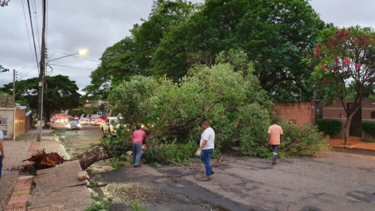 Após temporal, Central 156 registra mais de 1,3 mil ligações em apenas 24 horas