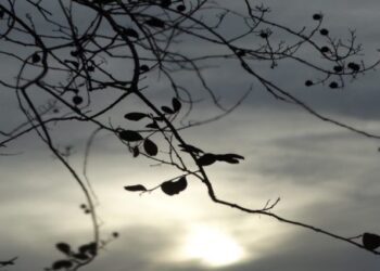 Domingo terá variação de sol e pancadas de chuva Mato Grosso do Sul