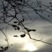 Domingo terá variação de sol e pancadas de chuva Mato Grosso do Sul