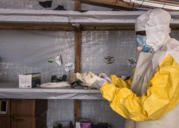 Prefeitura de Campo Grande emite alerta sobre vírus da família do Ebola