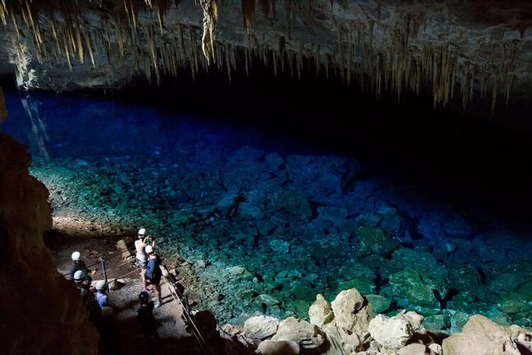 MS promove turismo nos EUA em parceria com uma das mais importantes associações do setor no mundo