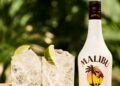 Aprenda aqui a fazer um drink “Mix Malibu” para curtir o próximo feriado