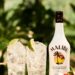 Aprenda aqui a fazer um drink “Mix Malibu” para curtir o próximo feriado