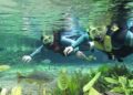Em novo recorde, Turismo de Bonito registra melhor outubro dos últimos 7 anos