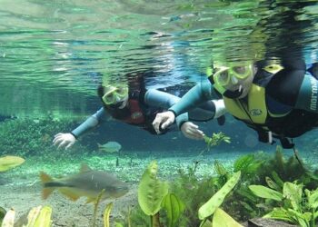 Em novo recorde, Turismo de Bonito registra melhor outubro dos últimos 7 anos