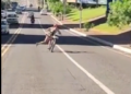Após anos sumida, “dançarina da bicicleta” reaparece e vídeo repercute em redes sociais