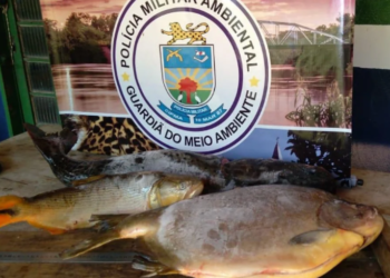 Em Aquidauana, gerente de restaurante é autuado com pescado ilegal em freezer