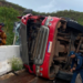 Carreta carregada com bois tomba e deixa motorista e gestante feridos na MS-430