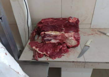 Uma tonelada de carnes vindas de abate clandestino é apreendida em MS