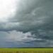 Dia amanhece quente, mas previsão aponta chuva em MS