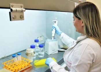 Mato Grosso do Sul é o Estado que mais investe em bolsas de doutorado